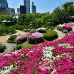 facilities_Uxs6FlH44qqeiJq3_kf1616386570911_kobe-sorakuen20211